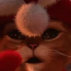 🐱Michis en Navidad 2🎁🎄 10