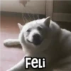 🐶 Perritos Frases Mov. 1.0 🐾 14