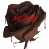 Chocolate Day  11