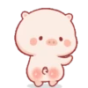Babi lucu kek kamu 12