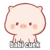 Babi lucu kek kamu 13