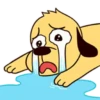Funny Dog 11