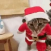 FIGURINHAS DE NATAL 🎄🎅 9