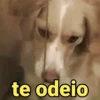 te odeio