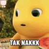 Dino Lucuu 11