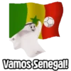 Vamos Senegal!