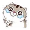 Mood kucing 10