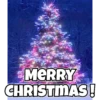 Christmas pack 15