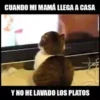 En familia 12