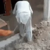 Funny Memes 15