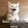 Para reagir em 2023 😂 7