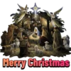Christmas 🤶 Special Pack 🎄 12