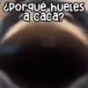 🐶 Perritos Frases Mov. 1.0 🐾 7