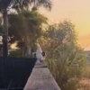 🦆Animalitos graciosos🦉 15