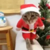 🎅🏻 Navidad Random 🎄 7