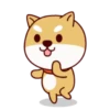 Funny Dog 9