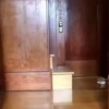 🦆Animalitos graciosos🦉 12