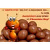 Chocolate Day  19