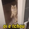 PRA PUXAR PAPO 🤪 12