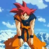 Son Goku | 24