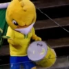 TORCENDO COM O CANARINHO 8