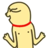 Funny Dog 12