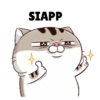 Mood kucing 15