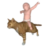 Engraçado 13