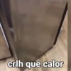 Doguinhos e Gatinhos 8