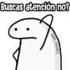 FLORK Confundido ⁉️🤔 12