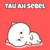 Peach Cat Sayang 9