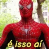 Memes do miranha 8