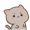 Peach cat 28