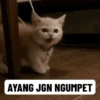 Random gif part 5