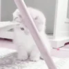 Gatitos. | @ocenferios  Haki. 5