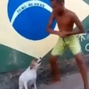 Misturar Animado 10