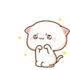 Peach cat 16