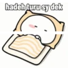 Panda gaje 5