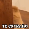 Animados Pal Chat 4 😎 9