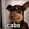 SÓ MEMES  10