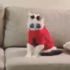 Doguinhos e Gatinhos 15