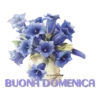 Buongiorno 16