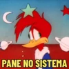 PICA-PAU DEBOCHADO 🌳 15