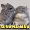 Meme gif 6