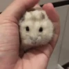 Ratitas🐭 7