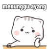 Kucing Cute Dua 5