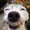 Happiness 6