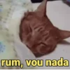 REAÇÕES/RESPOSTAS 14