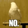 Memes Random Pt.2 5