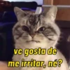 Memes para reagir ✨ 11